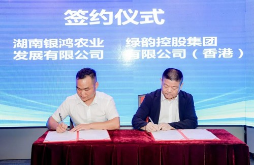 绿之韵胡国安参加益阳·香港经贸合作对接会 共促湘港经贸合作