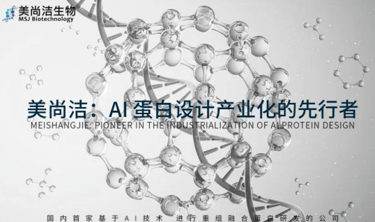 美尚洁生物宣布完成B轮融资 将聚焦三大核心方向