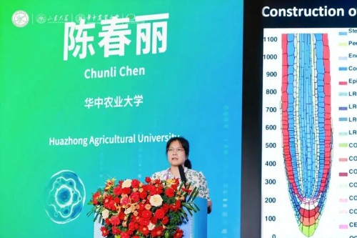 图片 11.jpg