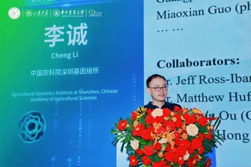 图片 20.jpg