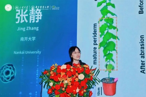 图片 25.jpg