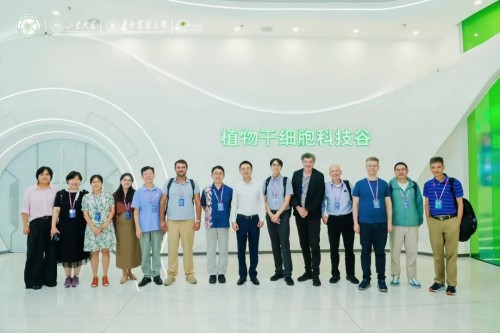 图片 47.jpg