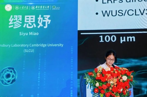 图片 38.jpg