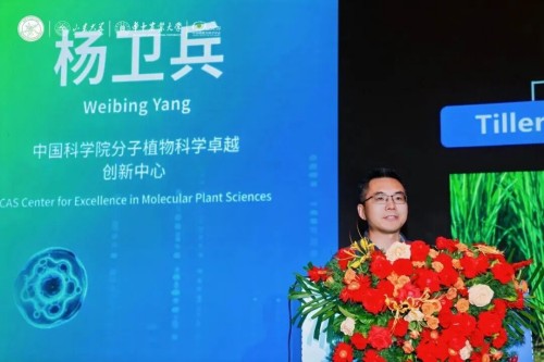 图片 40.jpg