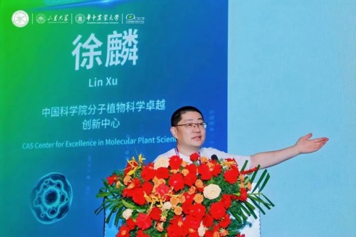 图片 41.jpg