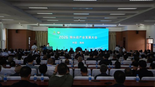 图片 1.jpg