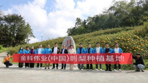 金科伟业市场部赴贵州桐梓基地考察 见证刺梨酵素标杆