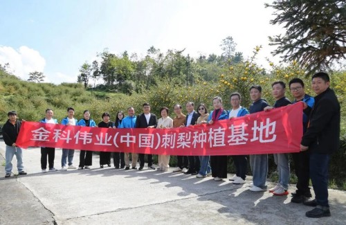 图片 2.jpg