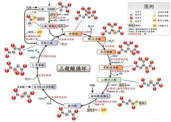 图片 2.jpg