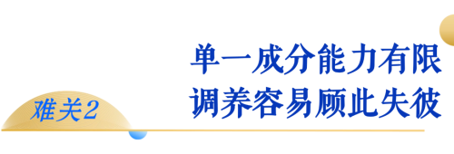 图片 5.png