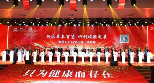 图片 11.jpg