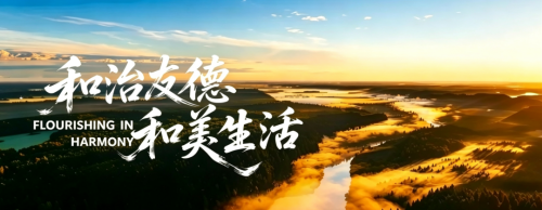 图片 5.png