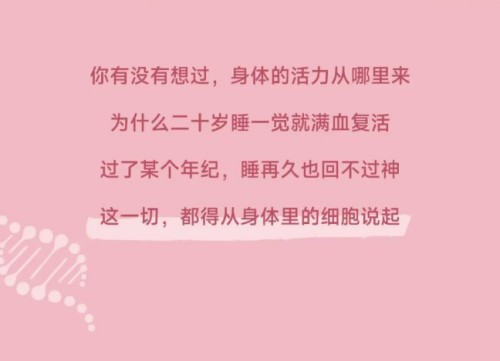 图片 3.jpg