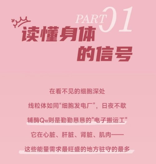 图片 4.jpg